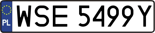 WSE5499Y
