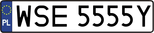 WSE5555Y