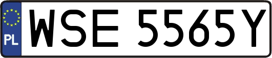 WSE5565Y