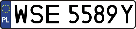 WSE5589Y