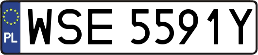 WSE5591Y