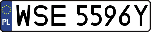 WSE5596Y
