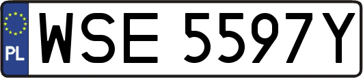 WSE5597Y