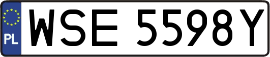 WSE5598Y