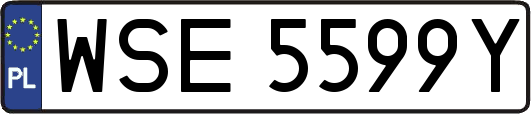 WSE5599Y