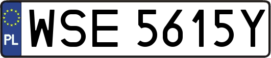 WSE5615Y
