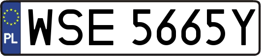 WSE5665Y
