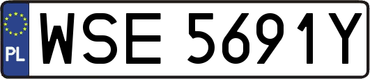 WSE5691Y
