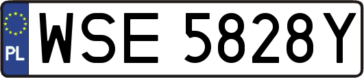 WSE5828Y