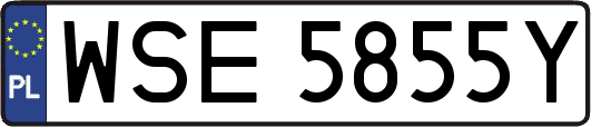 WSE5855Y