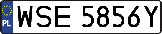 WSE5856Y