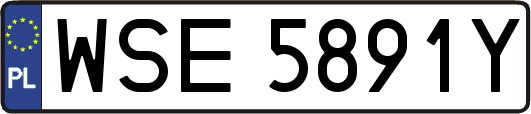 WSE5891Y