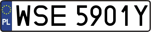 WSE5901Y