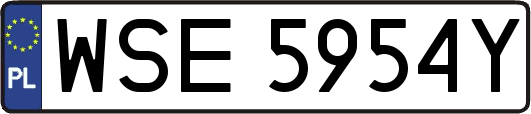 WSE5954Y