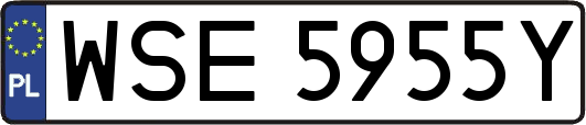 WSE5955Y