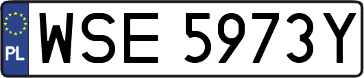 WSE5973Y