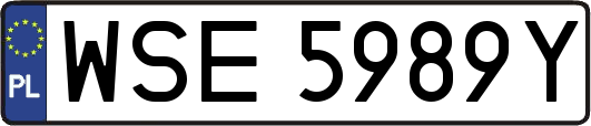 WSE5989Y