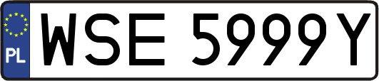 WSE5999Y