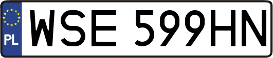 WSE599HN