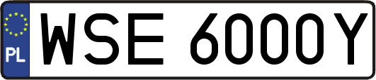 WSE6000Y