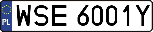 WSE6001Y