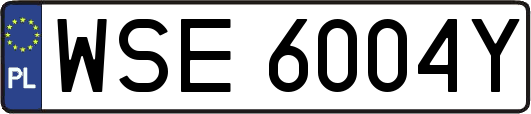 WSE6004Y