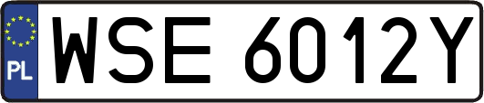 WSE6012Y