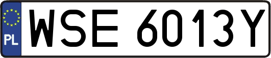 WSE6013Y