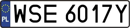 WSE6017Y