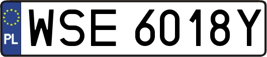 WSE6018Y