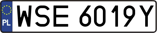 WSE6019Y