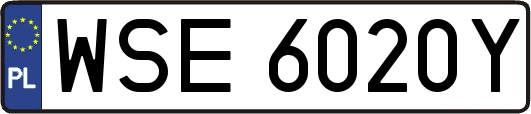 WSE6020Y