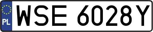 WSE6028Y