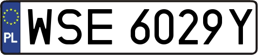 WSE6029Y