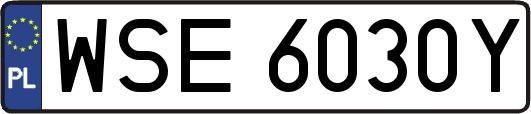 WSE6030Y