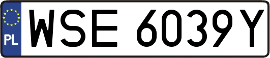 WSE6039Y