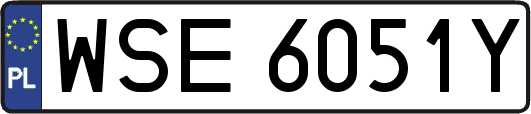 WSE6051Y