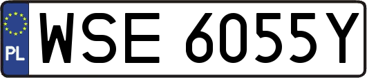 WSE6055Y