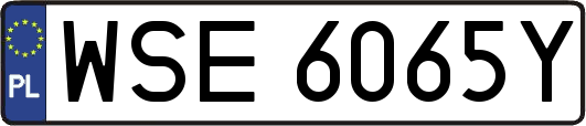 WSE6065Y
