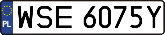 WSE6075Y