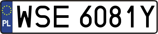 WSE6081Y