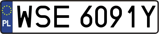 WSE6091Y