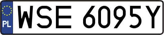 WSE6095Y