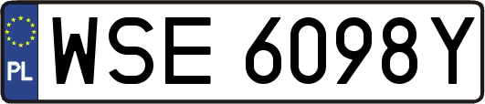WSE6098Y