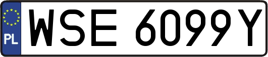 WSE6099Y