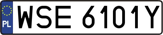 WSE6101Y