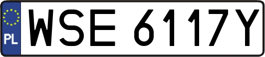 WSE6117Y