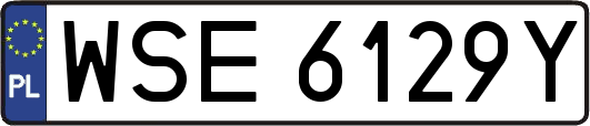 WSE6129Y