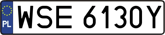 WSE6130Y