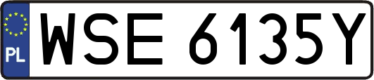 WSE6135Y